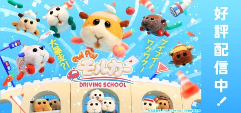 PUI PUI モルカー DRIVING SCHOOL