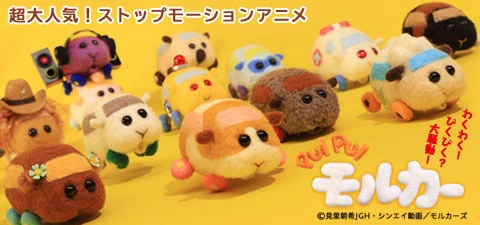 PUI PUI モルカー